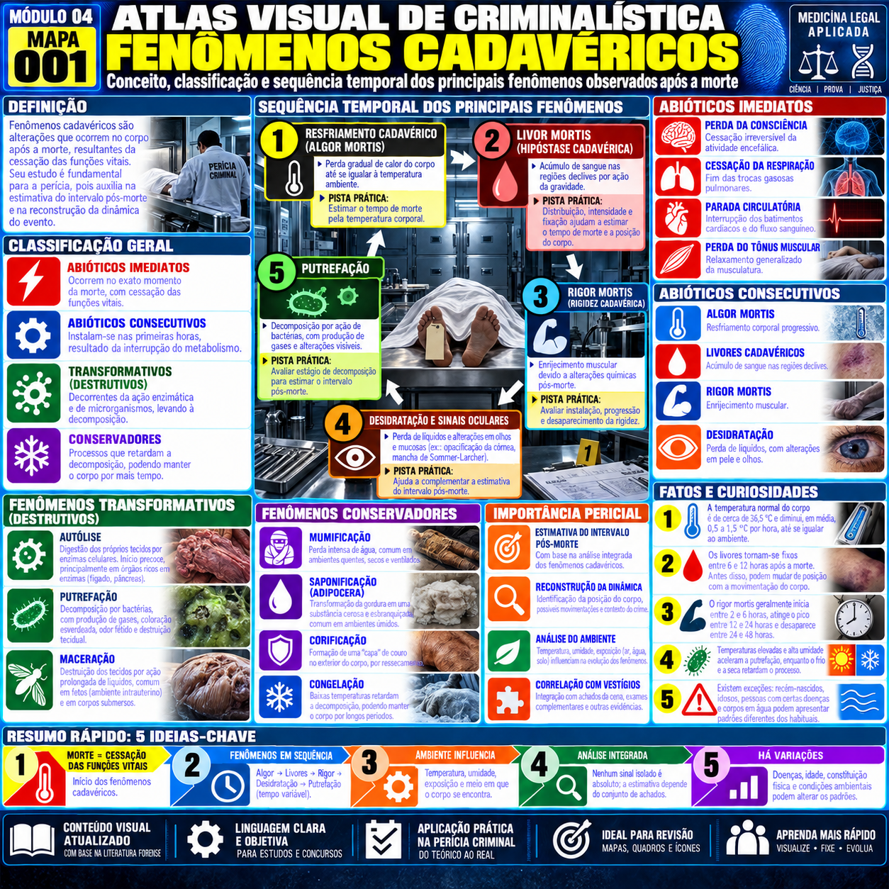 Mapa Mental: Fenômenos Cadavéricos - Tanatologia Forense