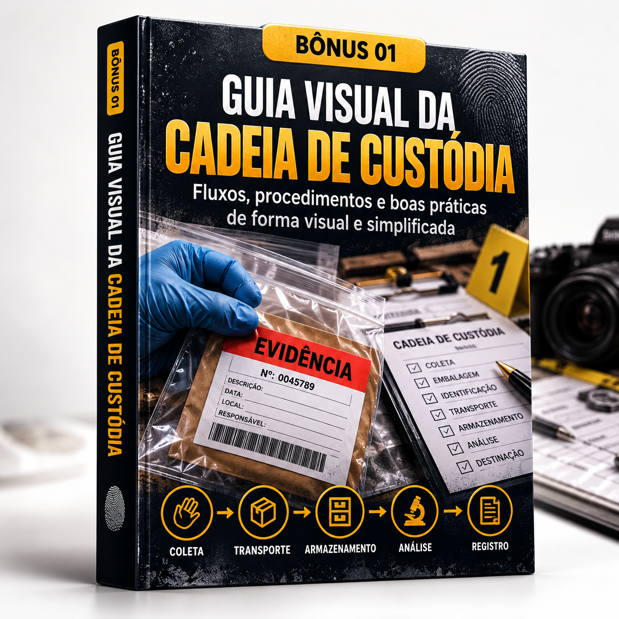 Bônus 01: Guia Visual da Cadeia de Custódia